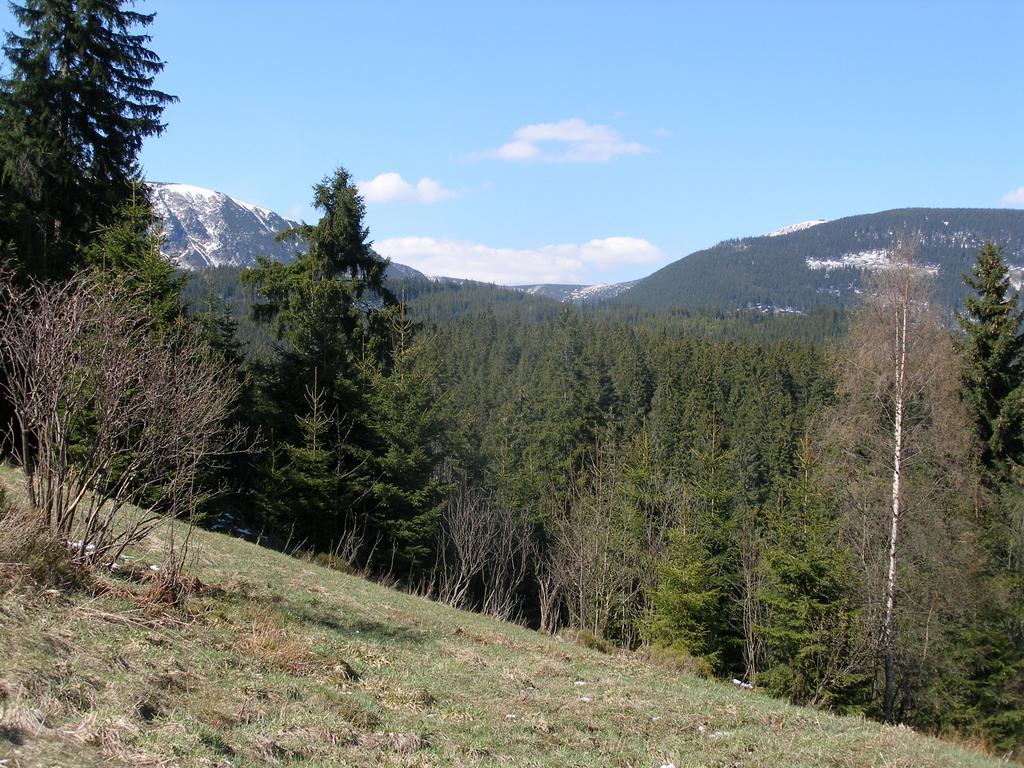 Pecka Penzion Pec pod Snezkou Luaran gambar